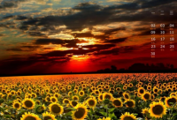 ​关于喝酒的经典语录汇总(精选75句)