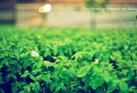 ​佛门修心的经典语录(精选75句)