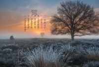 ​情感类的文案 情感类的语录文案(精选77句)