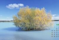 ​五一劳动节励志语录 五一劳动节励志语录图片