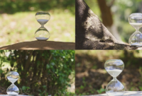 ​亦舒语录大全 亦舒经典语录(精选65句)