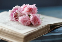 ​最扎心的情感语录 扎心的情感语录文案(精选77句)