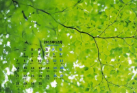 ​最扎心的情感语录 扎心的情感语录文案(精选76句)