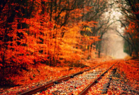 ​倪萍姥姥语录全文