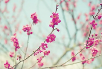 ​30岁男人成熟励志语录 男人励志配图(精选93句)