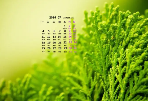 1708058663115032.png image.png