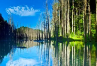 ​现实感情扎心语录 深入人心的感情文案(精选78句)