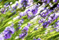 ​中考励志语录简短霸气 初三中考励志语录霸气