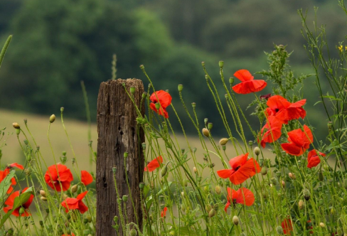 1708059495471068.png image.png