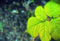 ​嫌疑人X的献身经典语录(精选51句)