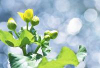 ​精神小伙社会语录短句霸气 精神小伙社会语录短句霸气押韵