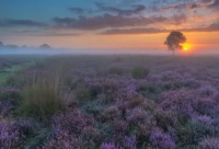 ​佛系人生语录励志 佛系人生语录朋友圈(精选64句)