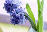 ​早安正能量简单一句话语录 一天一句心情早安语