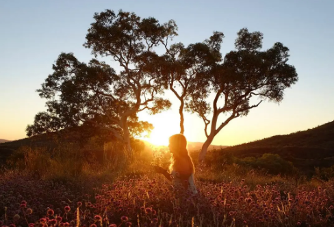 1708145255173159.png image.png