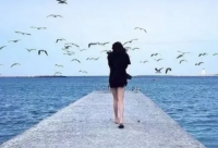 ​名字带狼的霸气网名