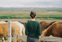 ​带云和娥字的霸气网名