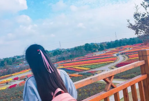 1708152419989300.png image.png