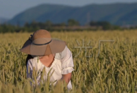 ​带七的网名二字霸气女