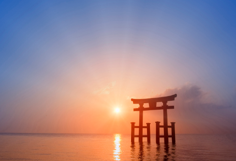 1708159919184176.png image.png