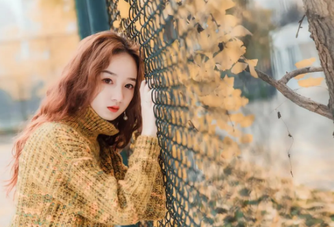 1708163832881290.png image.png