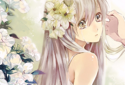 1708176486134186.png image.png