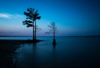 ​代表高贵神秘的英文姓氏（代表高贵英文名）