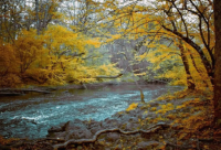 ​适合双胞胎的英文名（适合小孩用的英文名）