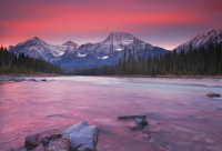 ​小猫起名字大全英文（猫咪名字创意英文名字）