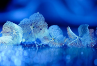 ​快手网名那个英文字母（最火的快手名字大全英文）