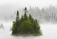 ​最霸气的特殊英文名字（寓意光明的英文名字）