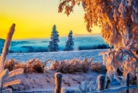 ​欧美电影中好听的英文名（欧美电影中好听的英文名字）