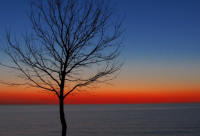 ​英俊的英文（英俊的英文单词）