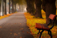 ​刺客信条2英文名字（刺客信条大革命英文名字）