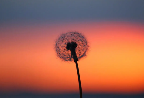 1708191174125239.png image.png