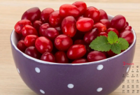 ​父亲节语录简短 父亲节语录简短节简单感人话语