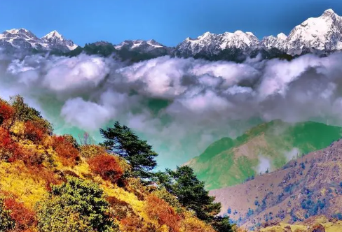 1708454157511432.png image.png