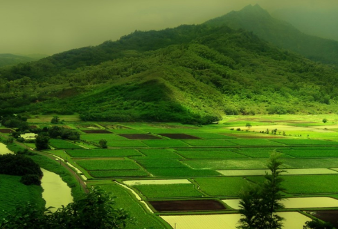 1708455988515908.png image.png