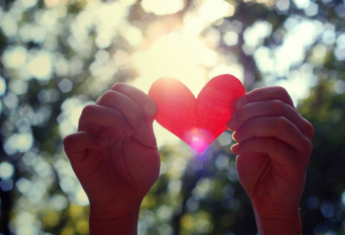 1708456987113474.png image.png