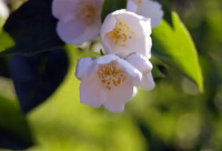 ​扮演小丑经典语录伤感(精选74句)