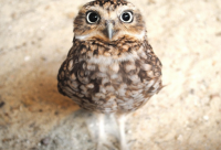 ​问候语大全 每天的问候语语录大全(精选45句)