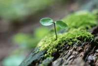 ​身体不舒服发朋友圈语录(精选62句)