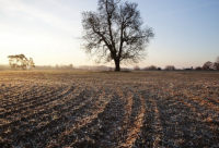 ​魔道祖师经典语录？(精选69句)