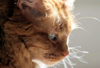 ​最搞笑的土味情话 搞笑的土味情感语录(精选77句)