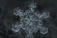 ​1984经典语录 1984经典语录英文(精选49句)