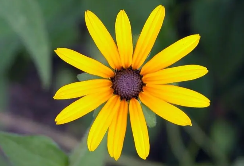 1708463811181551.png image.png