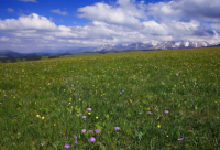 ​加油经典语录 加油经典语录 励志(精选92句)