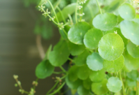 ​佛系关于感悟人生的语录(精选72句)