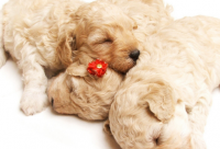 ​烟的文案伤感语录(精选70句)