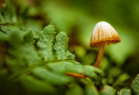 ​减肥励志语录