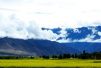 ​左耳电影台词经典语录(精选63句)